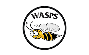 Wasps Uniforms